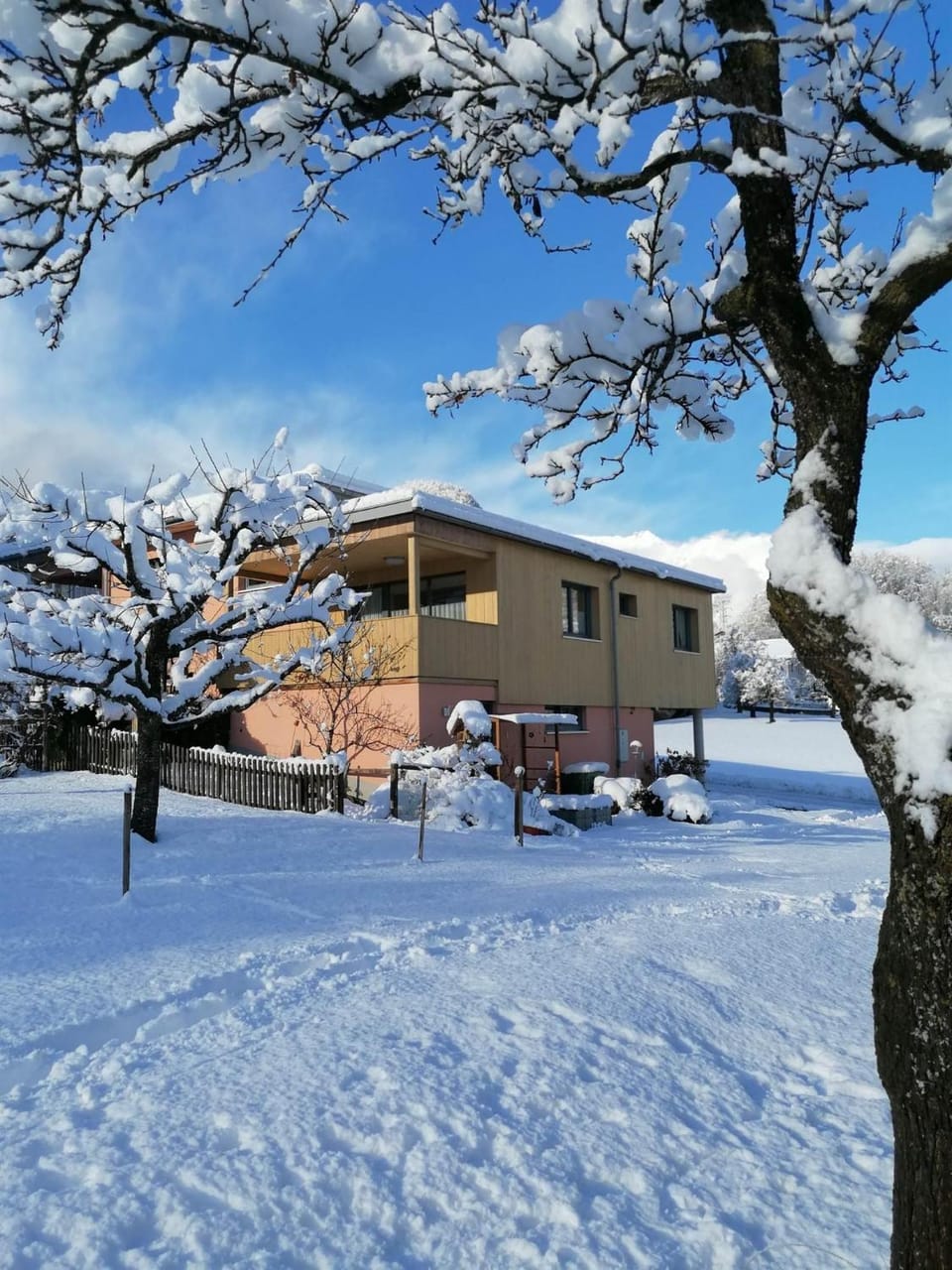 Winter