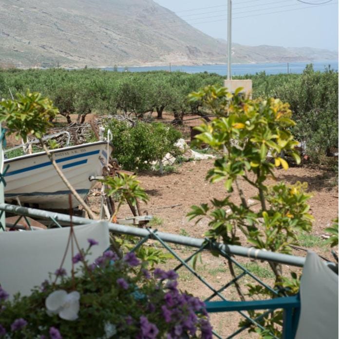 Natural landscape