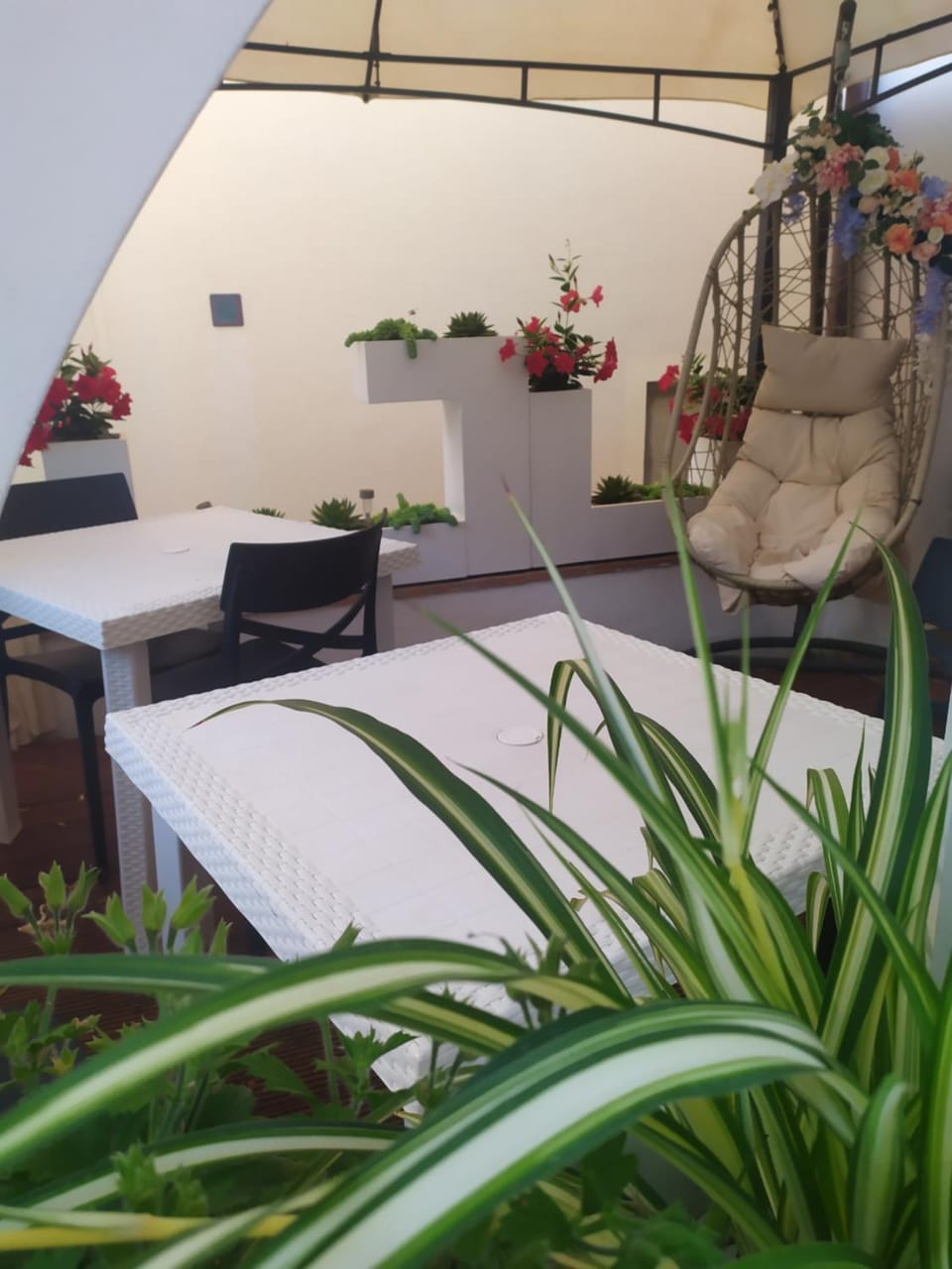 B&B Tiffany Bed and Breakfast in Palinuro