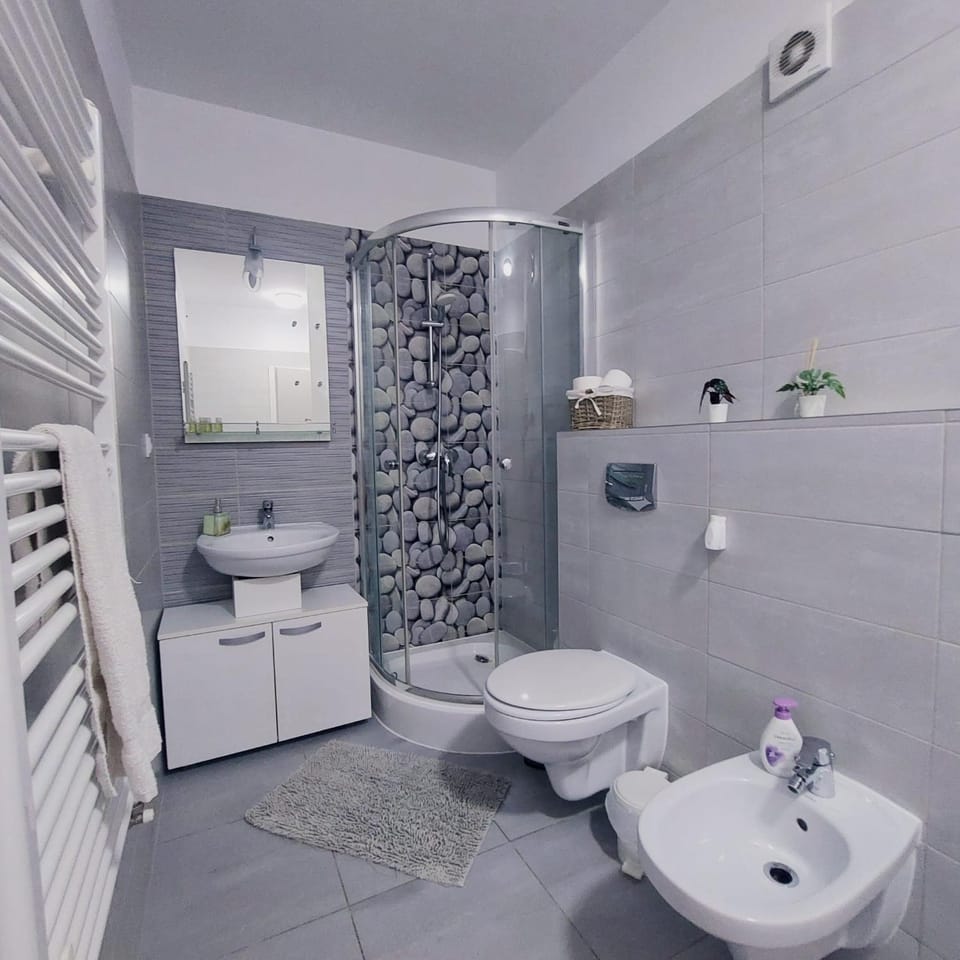 Giorgia and Ary Apartment in Brasov