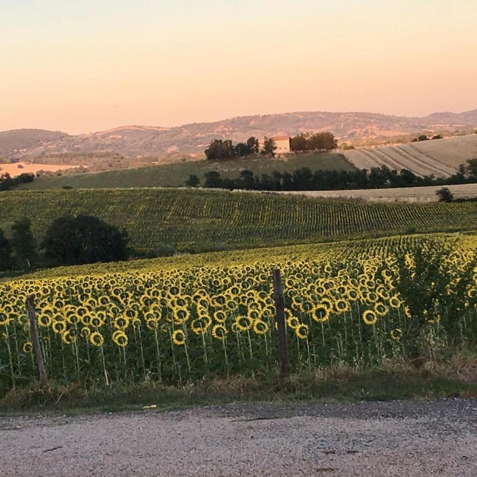 Agriturismo Barbicate Apartment in Lazio