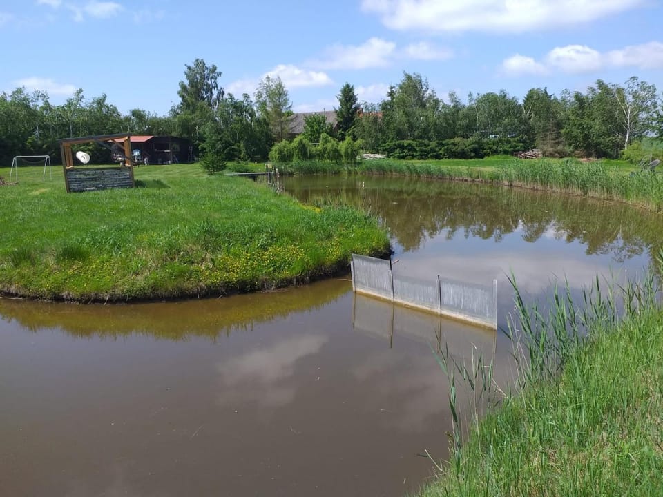 Natural landscape, Garden, Lake view