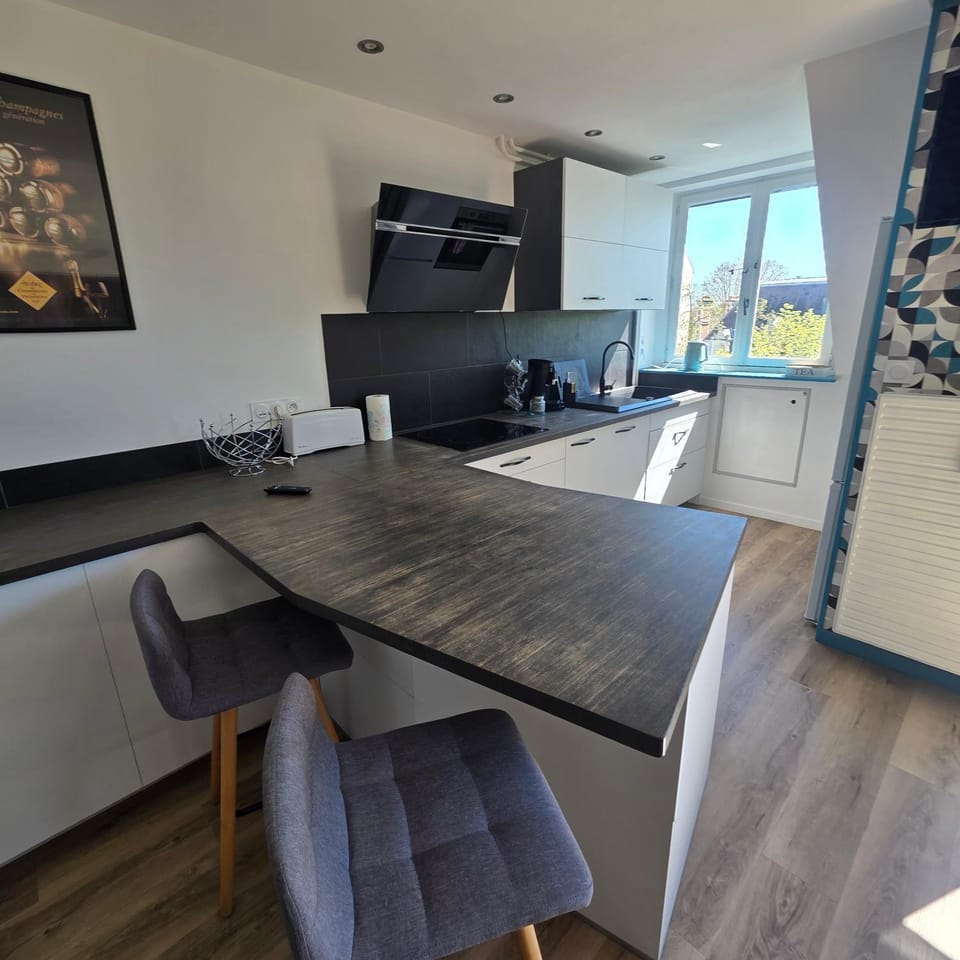 Chez KARINE T4 Terrasse HYPER CENTRE VILLE Wifi Parking Apartment in Troyes