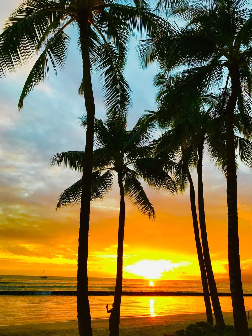 Property building, Sunset