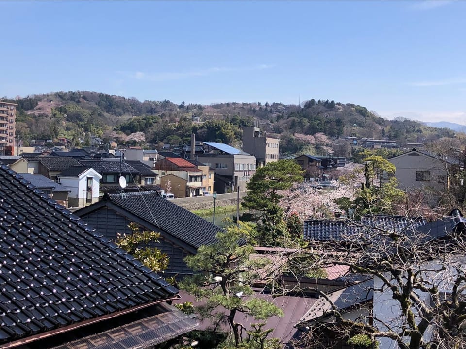 Day, Neighbourhood, Natural landscape