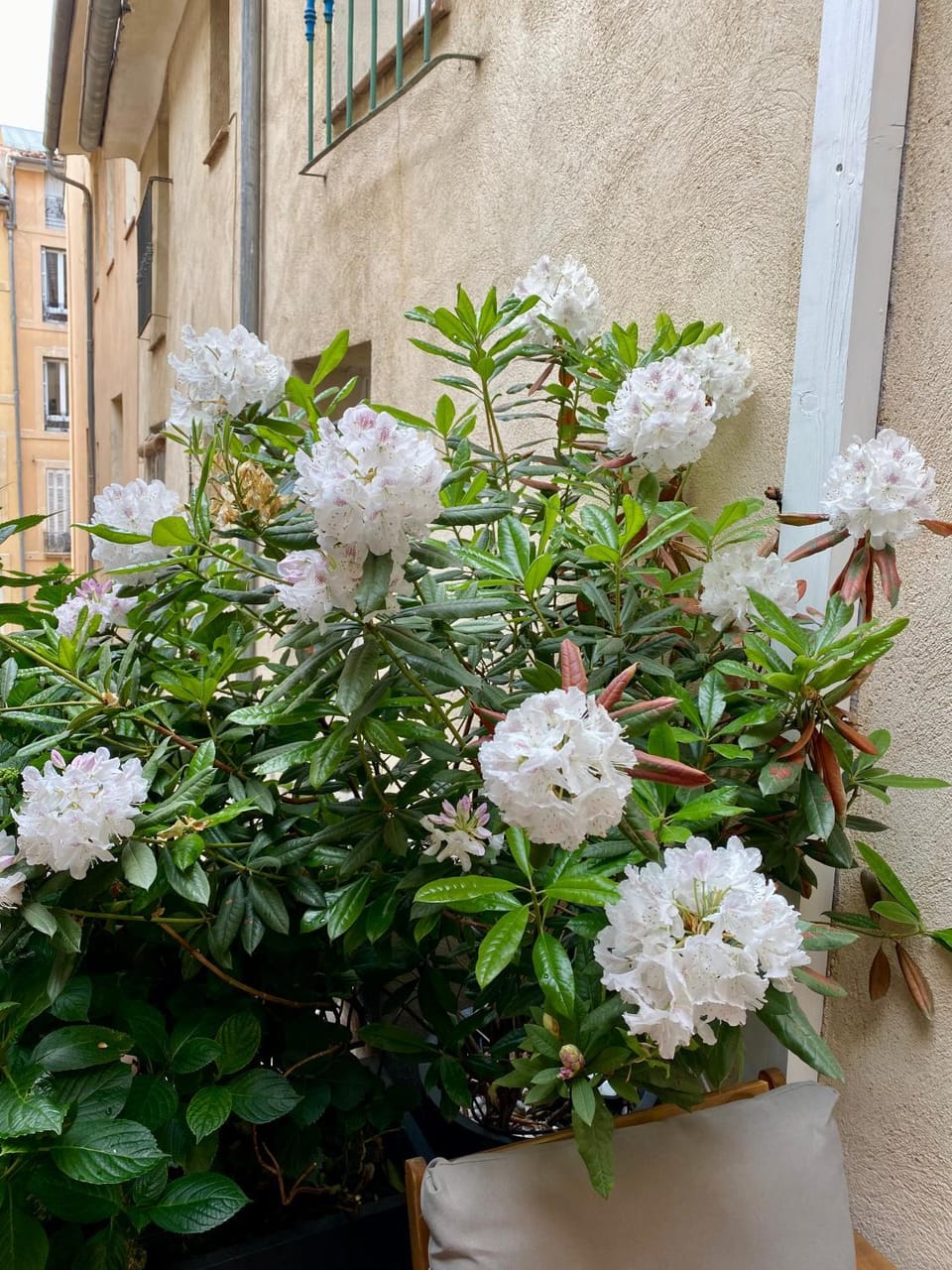 Spring, Balcony/Terrace