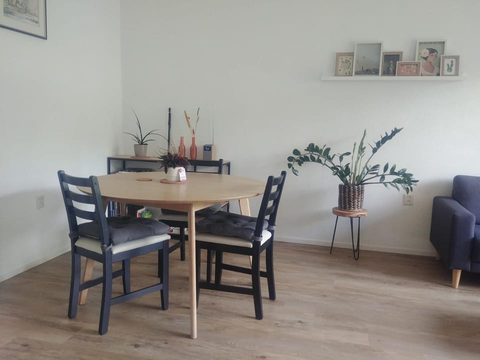 Ruim en huiselijk appartement met eigen tuin, compleet uitgerust, dichtbij natuur Apartment in Overijssel (province)