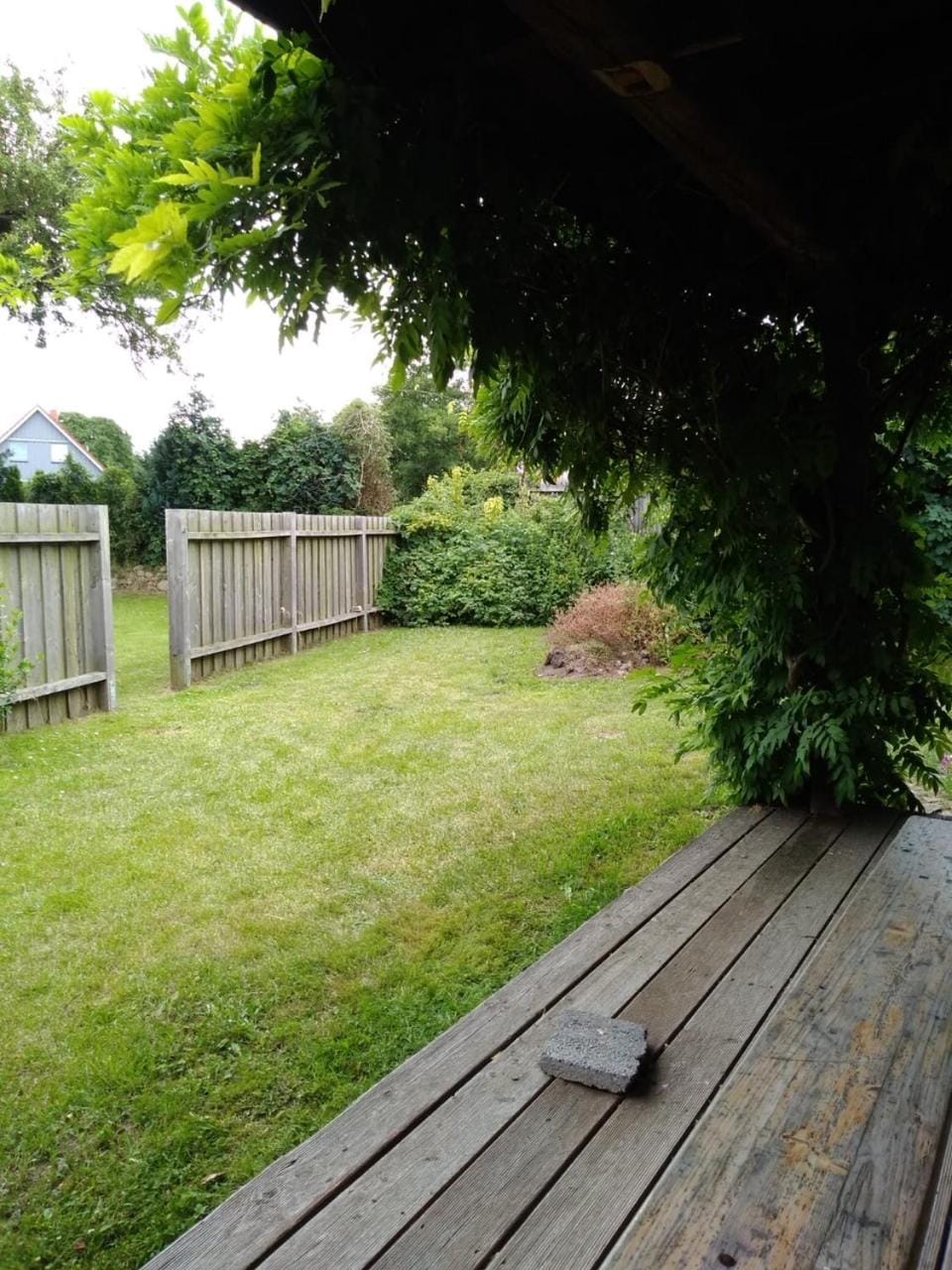 Garden, Balcony/Terrace