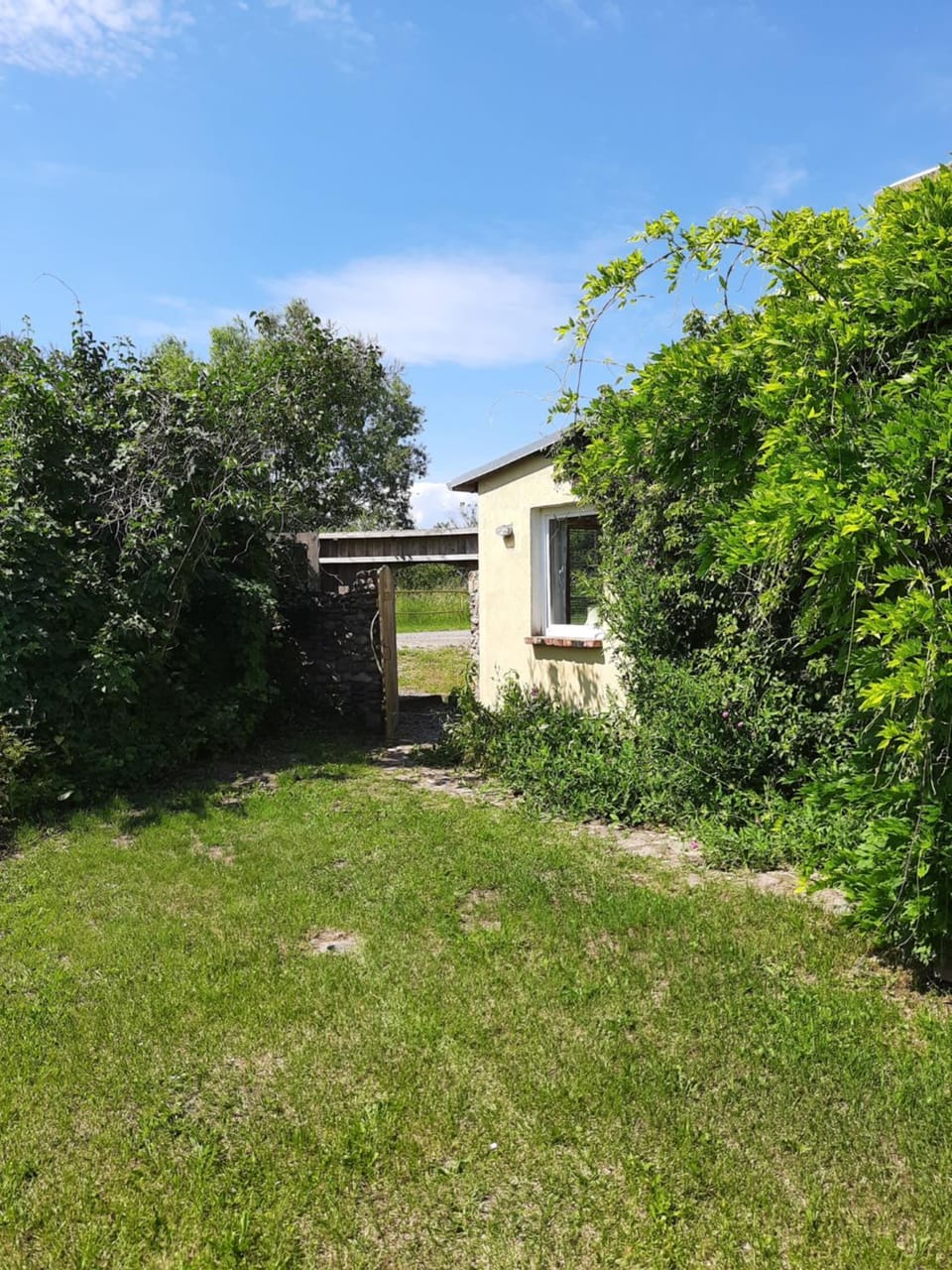 Property building, Garden, Garden view
