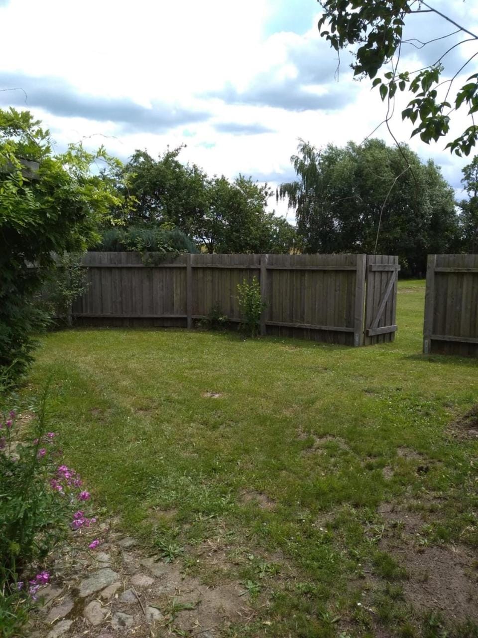 Patio, Garden, Garden view