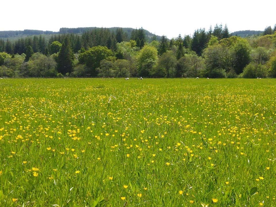 Natural landscape