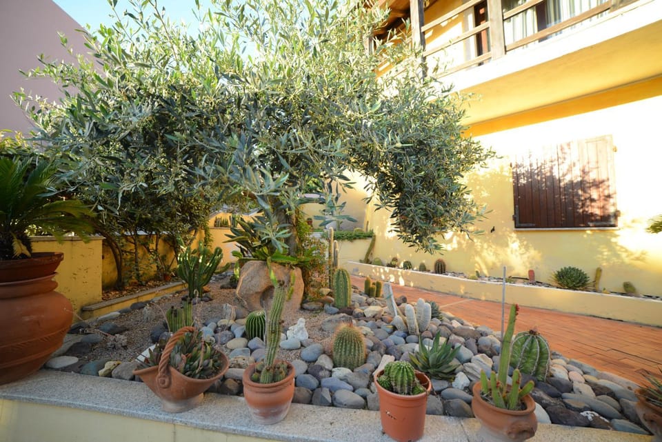 Spring, Garden, Garden view