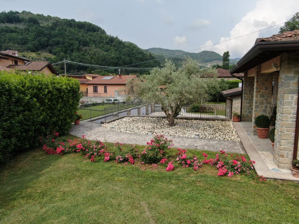 Natural landscape, Garden