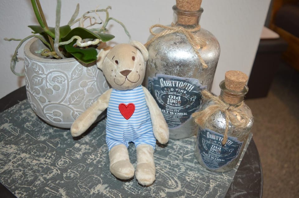 Henry II Apartment in Saarlouis