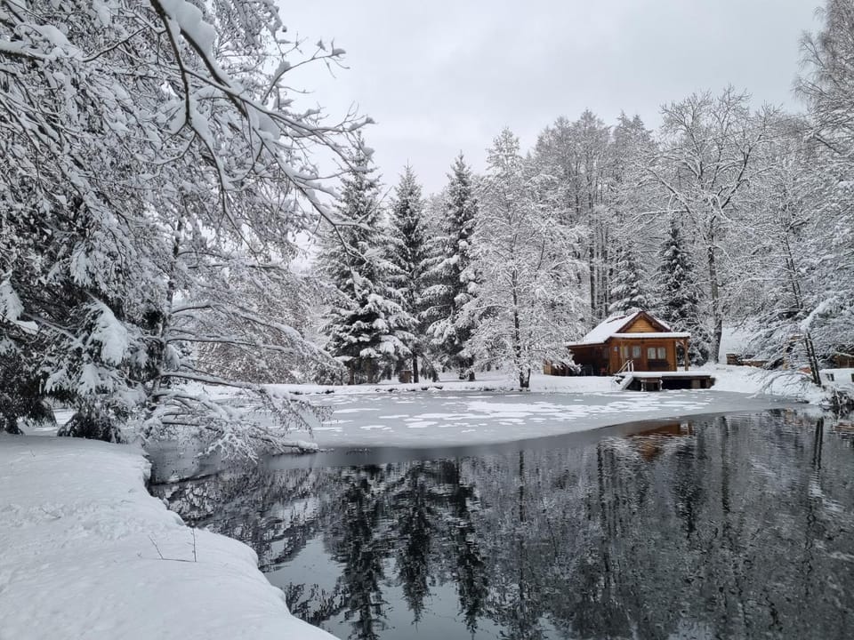 Insolite Chalet de pêche Sérénité - Bien Etre Chalet in Vosges