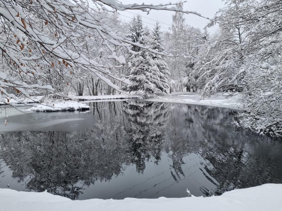 Insolite Chalet de pêche Sérénité - Bien Etre Chalet in Vosges