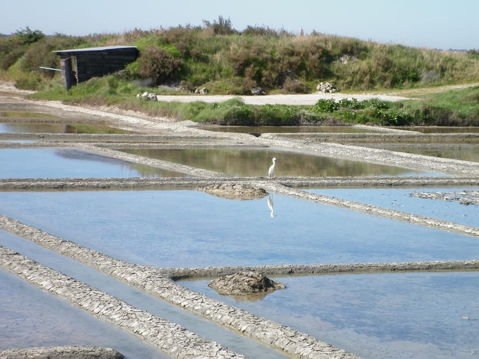 Off site, Natural landscape