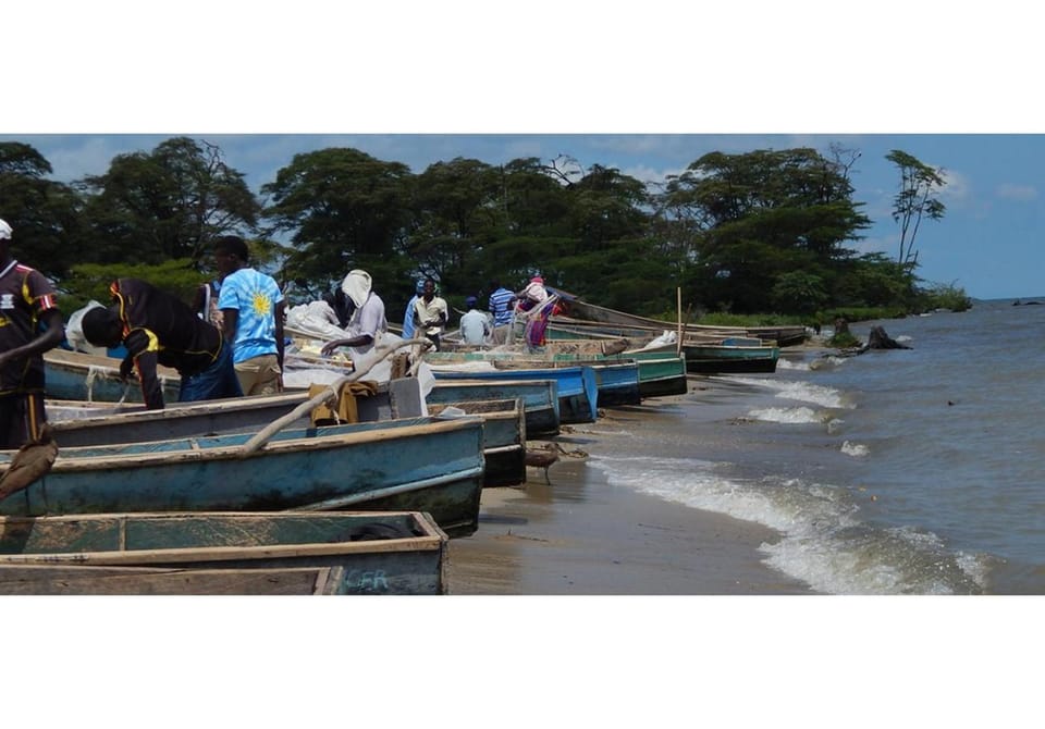 People, Natural landscape, Animals, On site, Lake view, Area and facilities