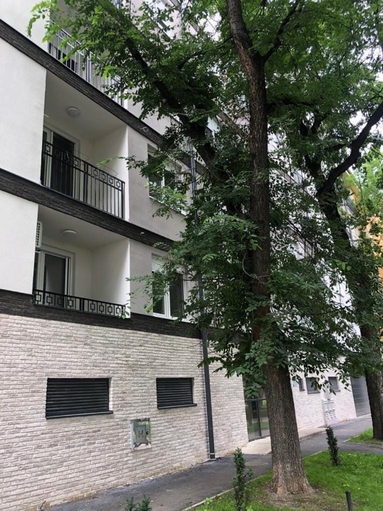 Linden Flower Apartment in Vojvodina