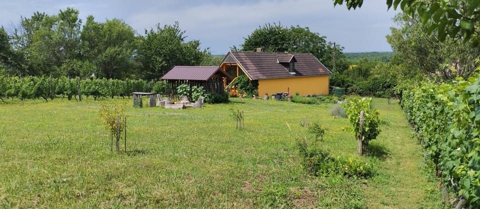 Kádárok Vendégháza a Somló-hegyen House in Hungary