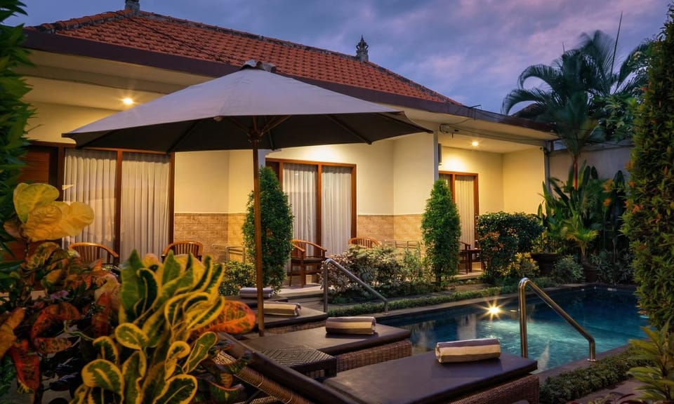 Night, Garden, Garden view