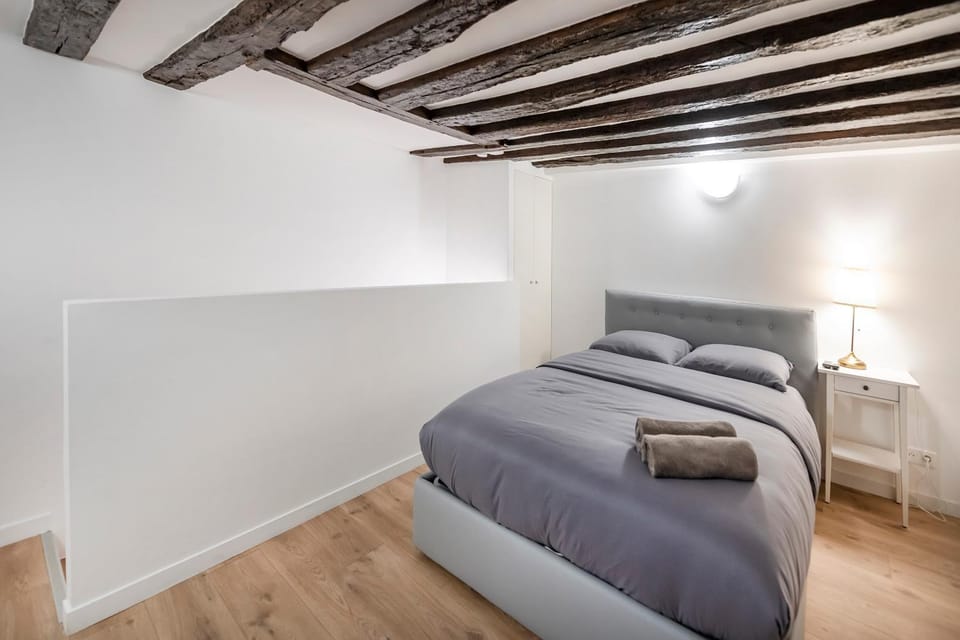 Paris Place Pantheon Apartment in Paris