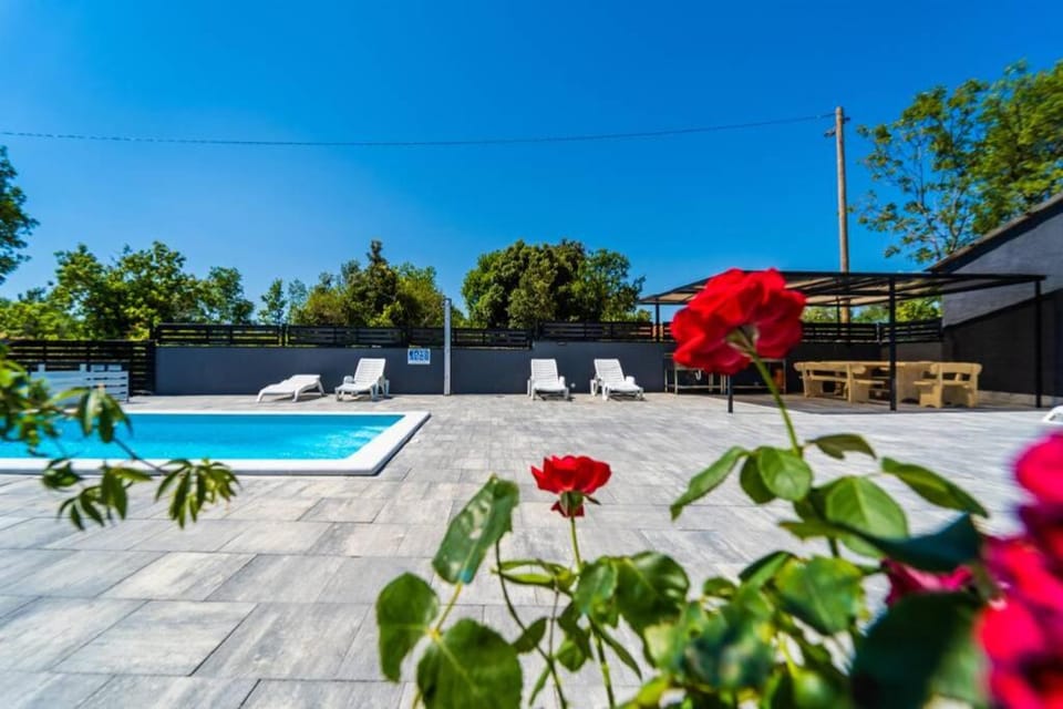 Swimming pool, Swimming pool