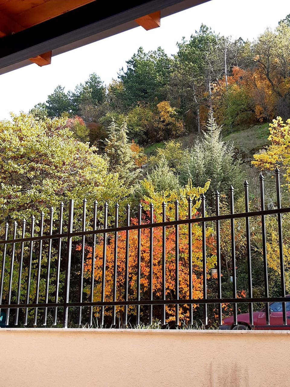 View (from property/room), Garden view