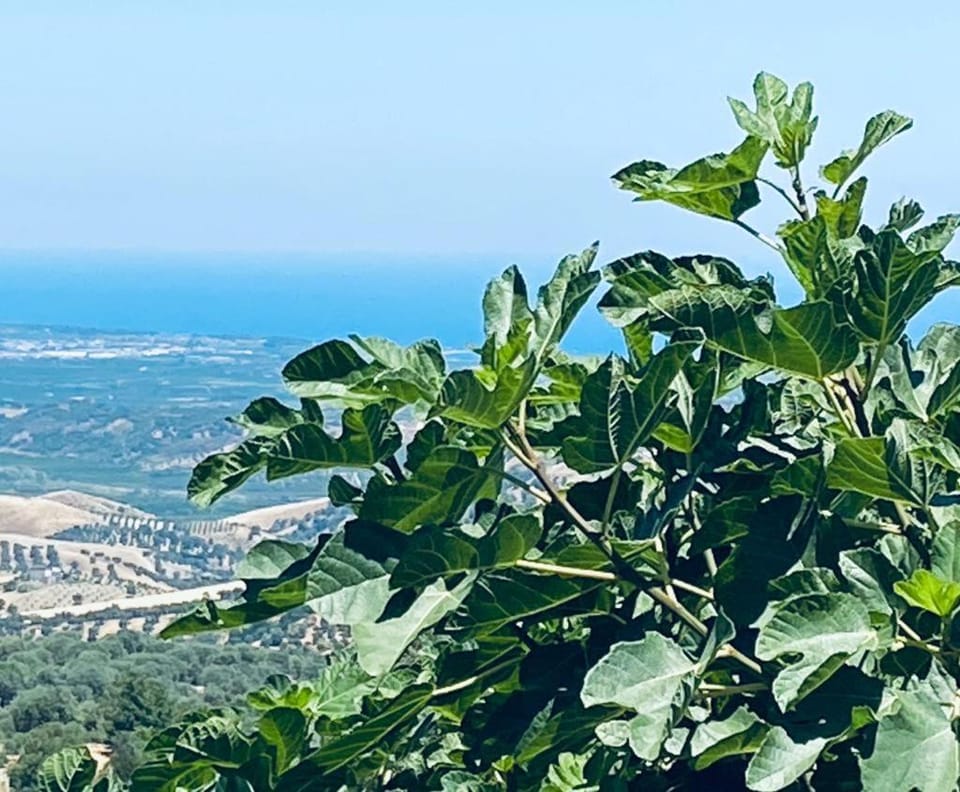 Sea view