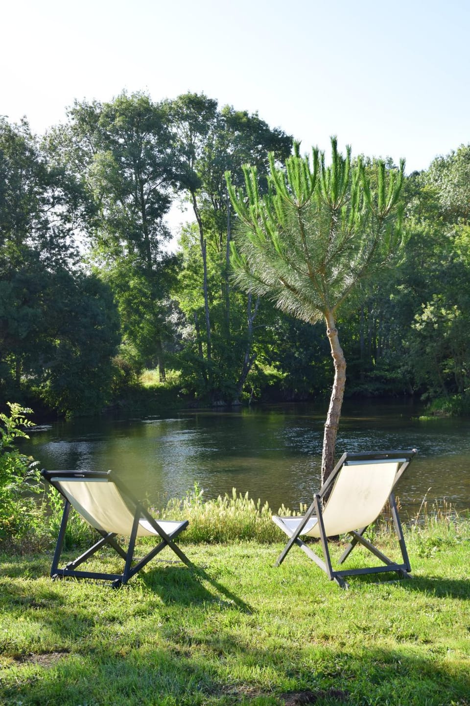 Natural landscape, Garden, Garden view, River view