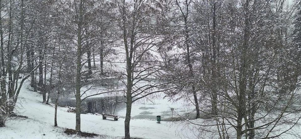 black-forest holiday - Ferienresort am Schluchsee Apartment in Schluchsee