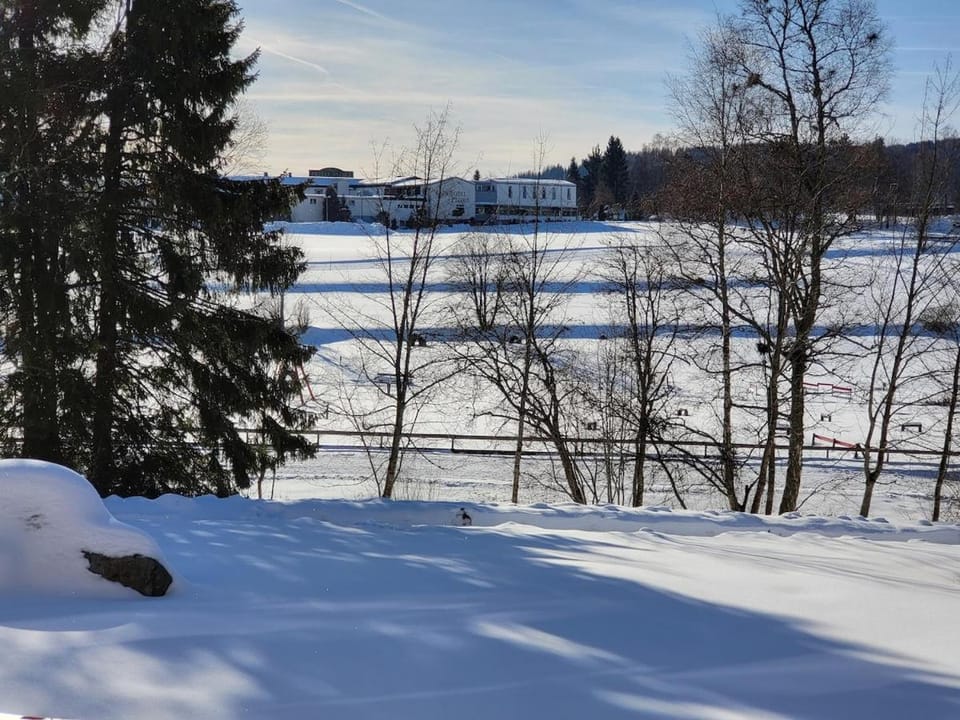 black-forest holiday - Ferienresort am Schluchsee Apartment in Schluchsee