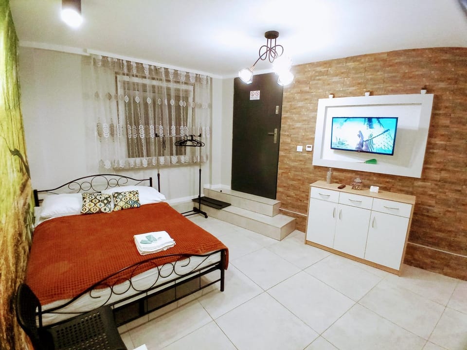 Communal lounge/ TV room, Bed, TV and multimedia, Photo of the whole room, Bedroom
