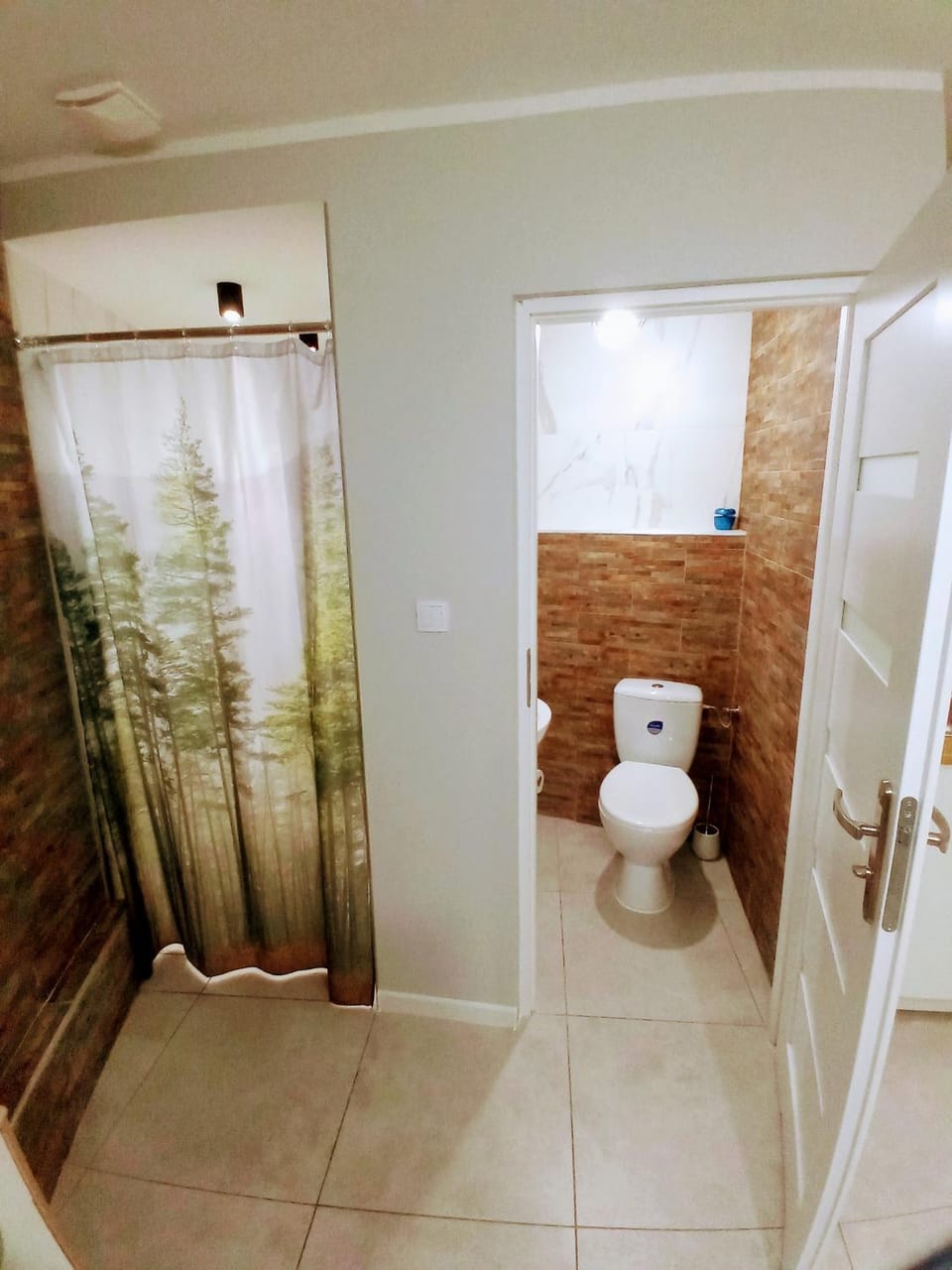 Toilet, Bathroom