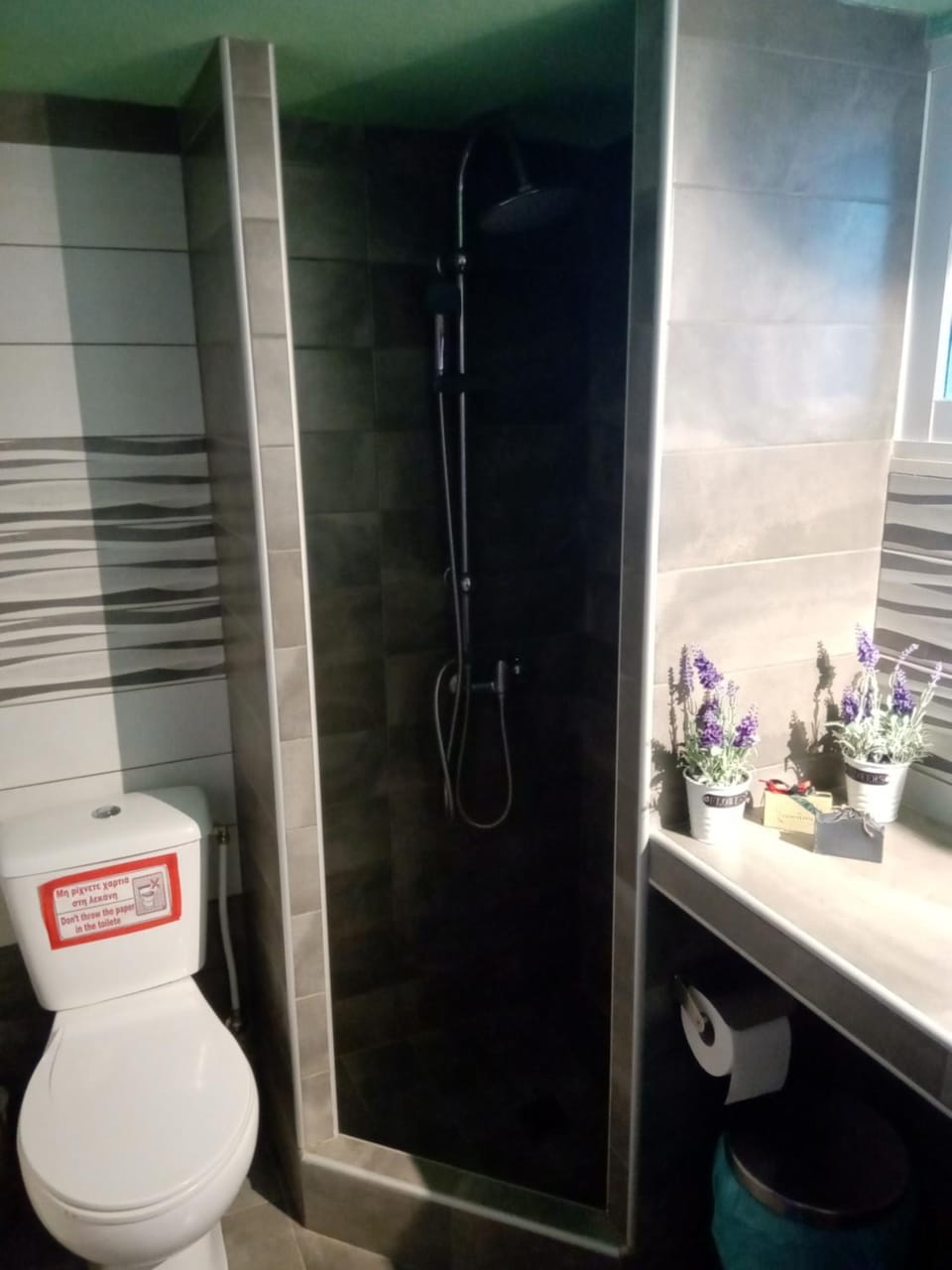Shower, Toilet