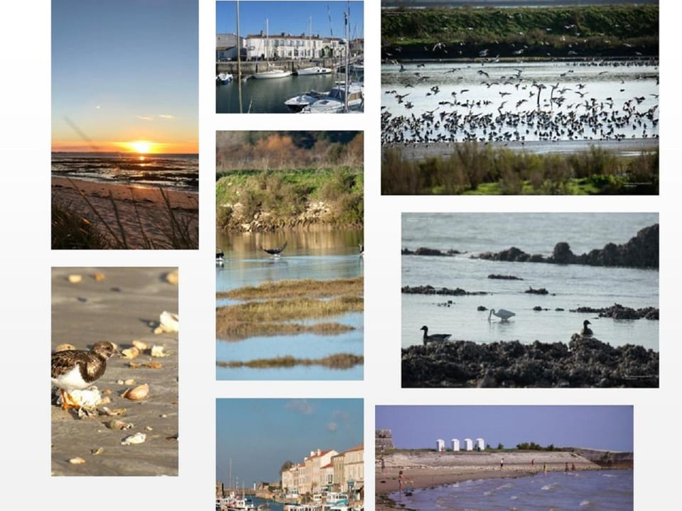 Natural landscape