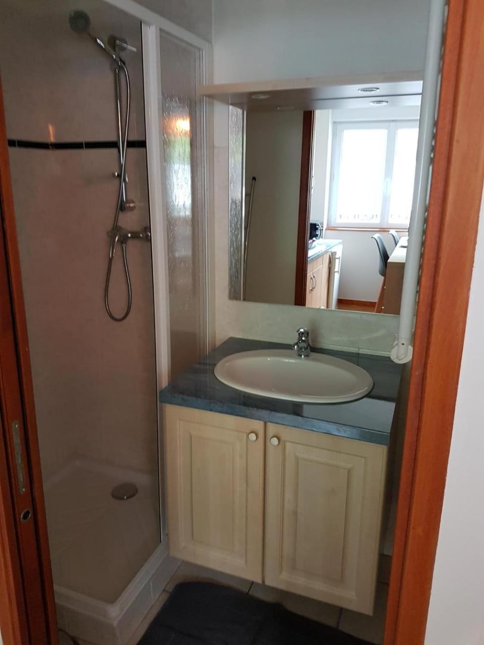 STUDIO 21 M2 TOUT EQUIPE Apartment in Auvergne-Rhône-Alpes