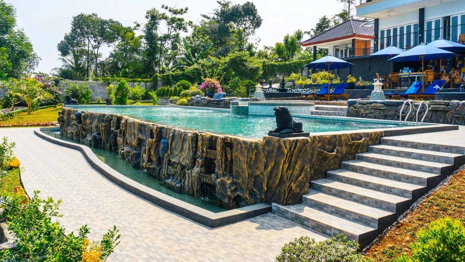 Swimming pool, Swimming pool