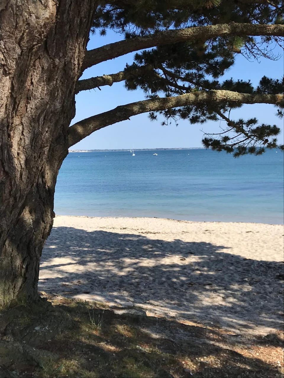 Property building, Beach