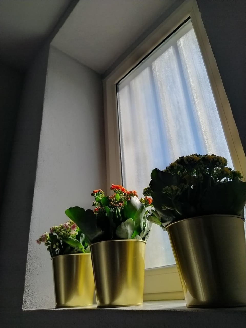 Internal: Not applicable to any particular room