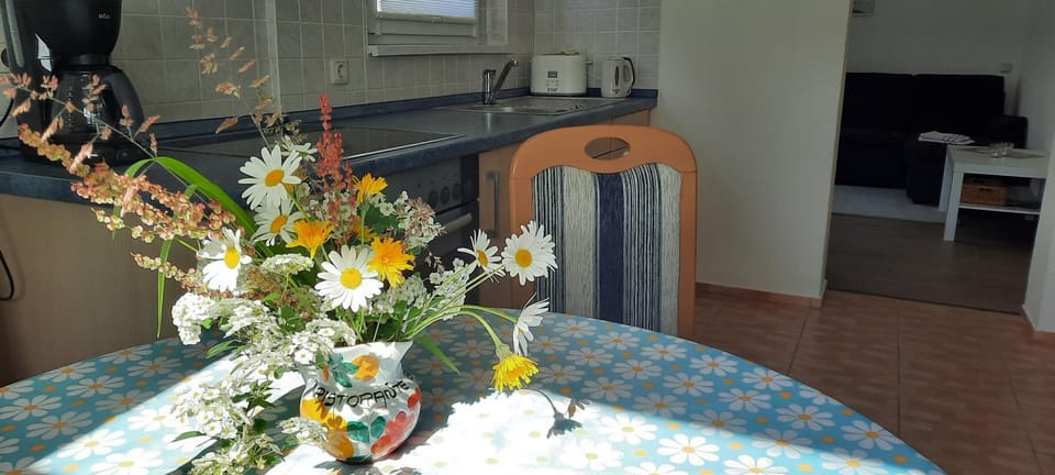 Ferienhaus Gänseblümchen House in Sächsische Schweiz-Osterzgebirge