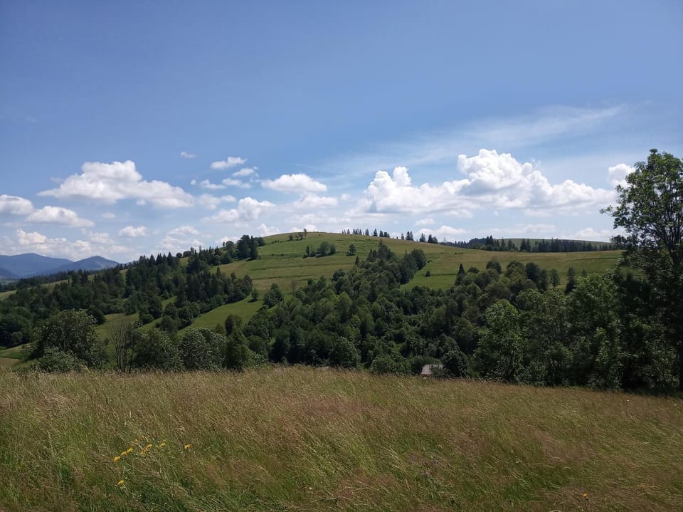 Mountain view