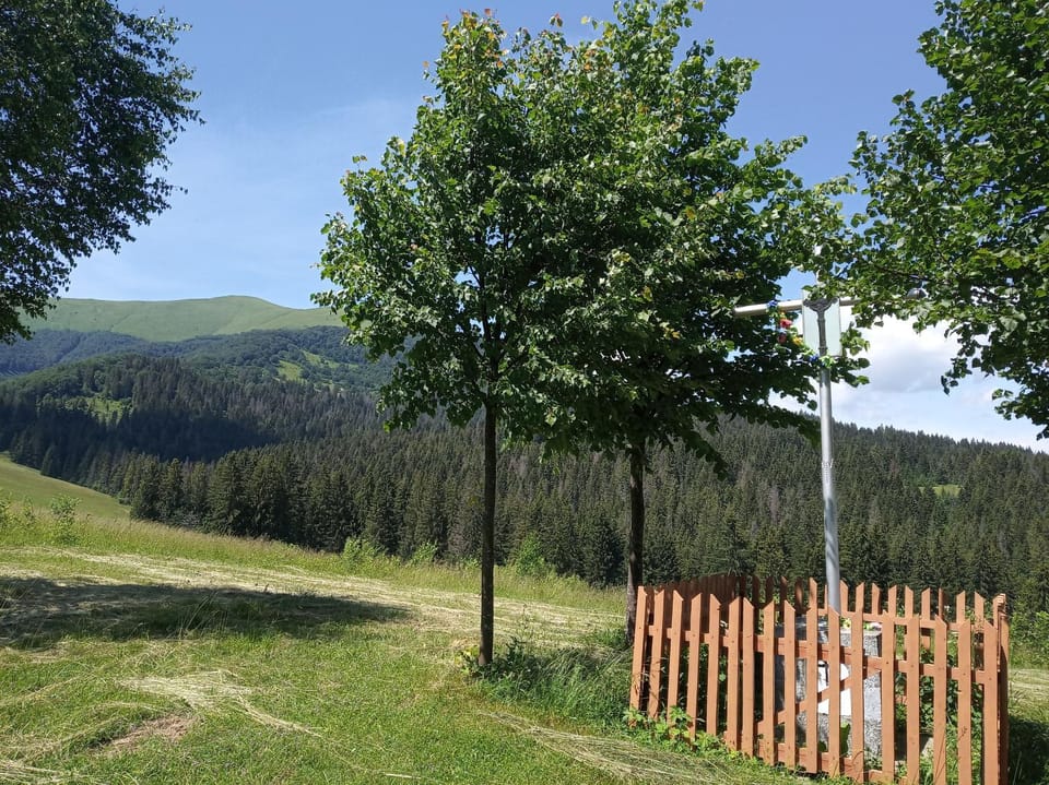 Natural landscape