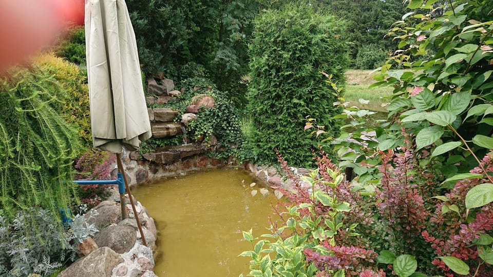 Natural landscape, Garden, Garden view