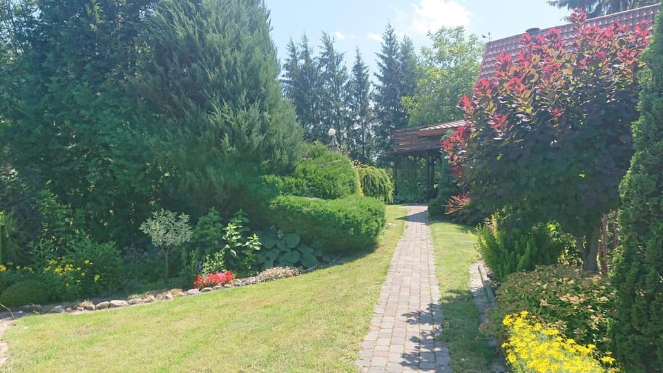 Natural landscape, Garden, Garden view