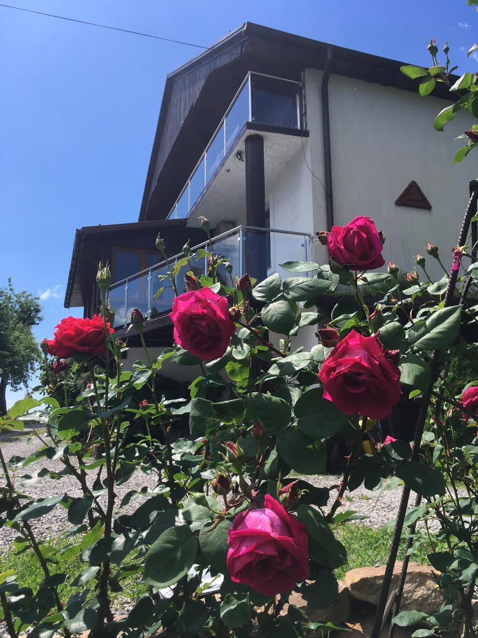 Property building, Garden, Garden view