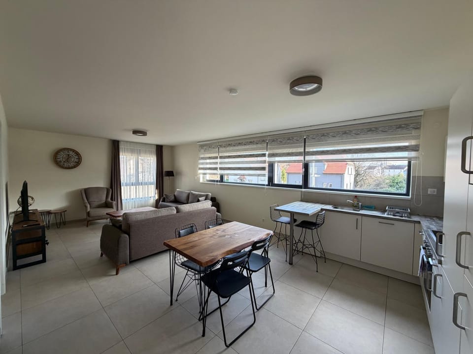 Kitchen or kitchenette, Living room, Seating area, Dining area