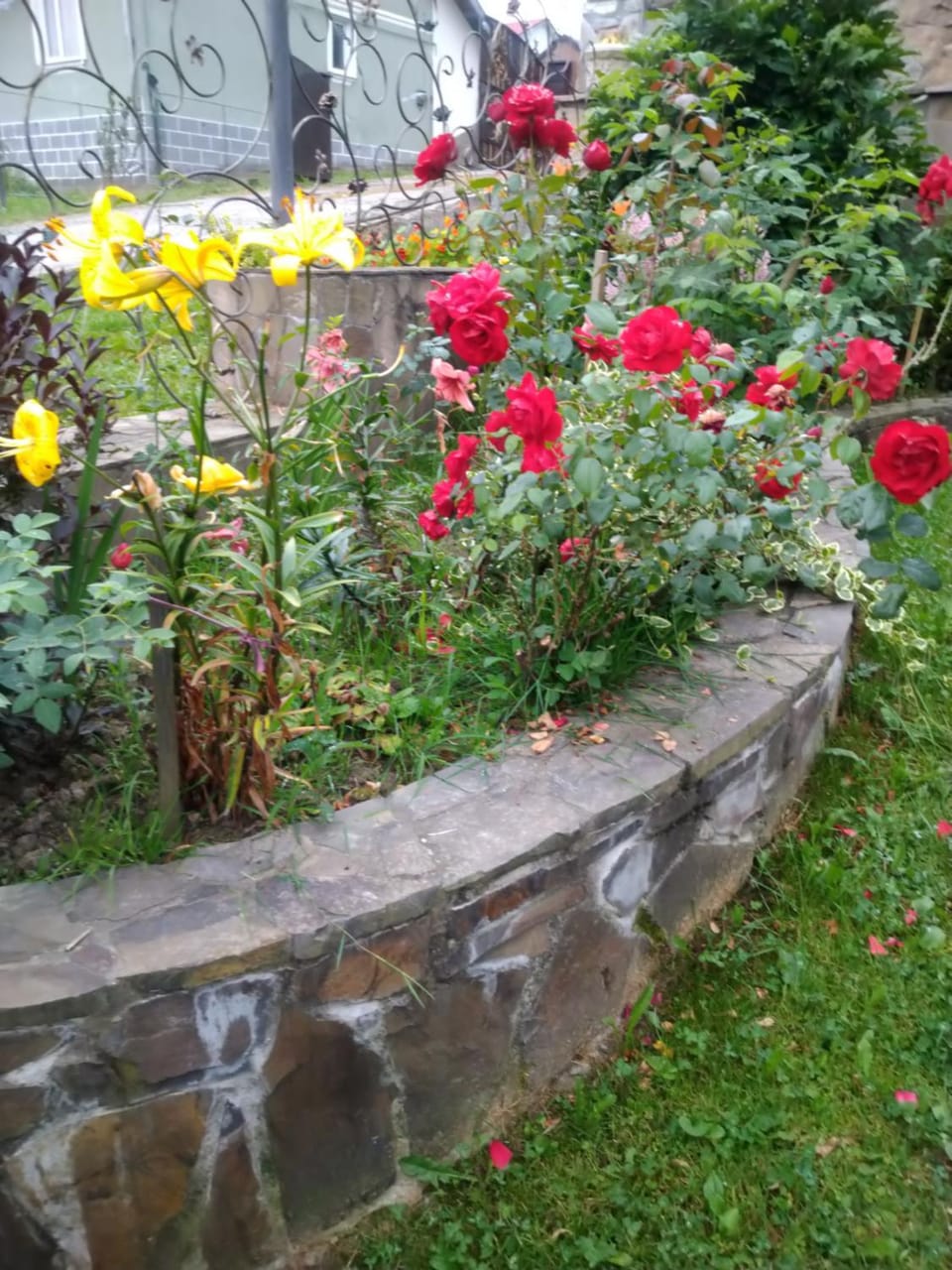 Garden, Garden view