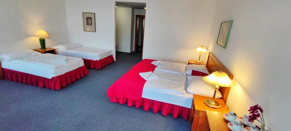 Hotel Magnolia Hotel in Czechia