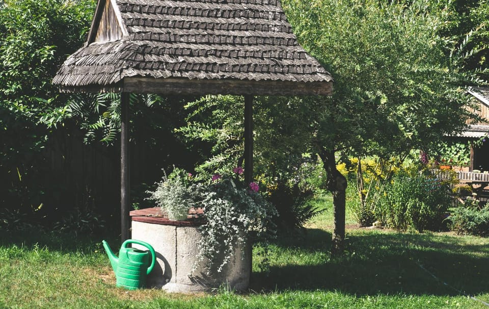 Natural landscape, Garden, Garden, Garden view